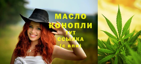винт Михайлов