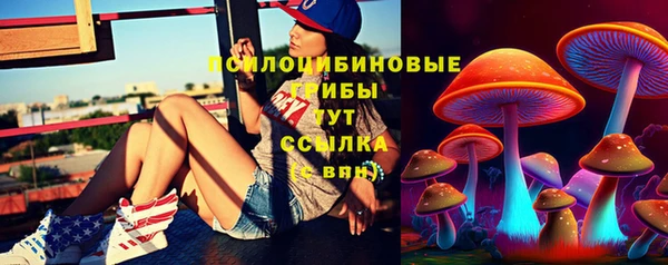 крисы Бородино