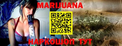 бошки Кингисепп