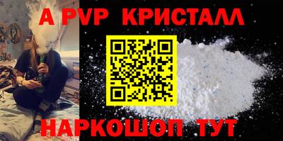 бошки Кингисепп