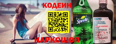 бошки Кингисепп