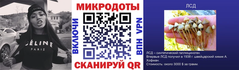 сколько стоит Назрань Псилоцибиновые грибы мицелий