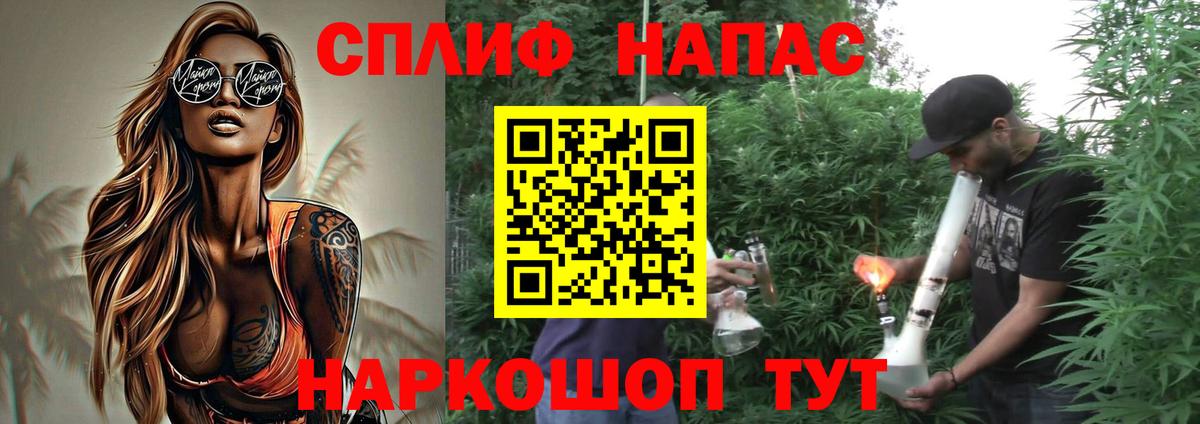 Канабис сатива Назрань